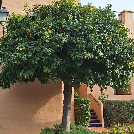 New !!! Duplex Penthouse 2 Avec Tennis, Padle, Golf * Estepona